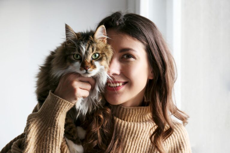 Erstausstattung Katze