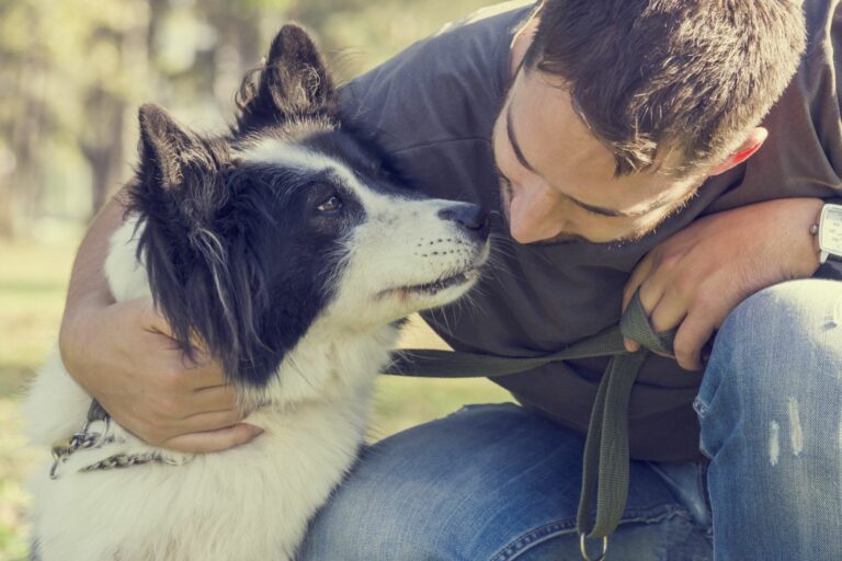 Tierversicherung Getsafe