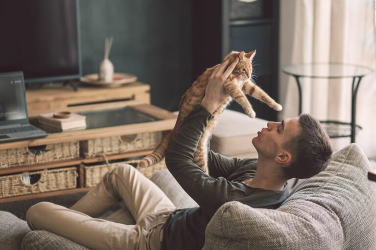 Owner,Playing,With,Cat,While,Relaxing,On,Modern,Couch,In