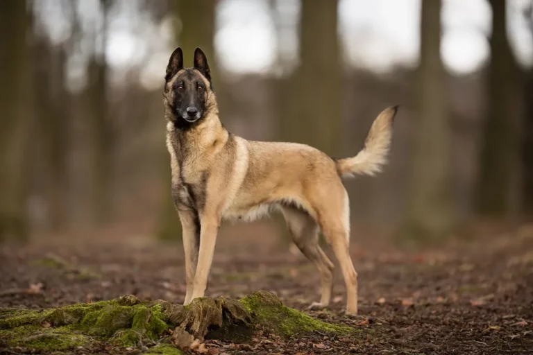 AdobeStock_83090056