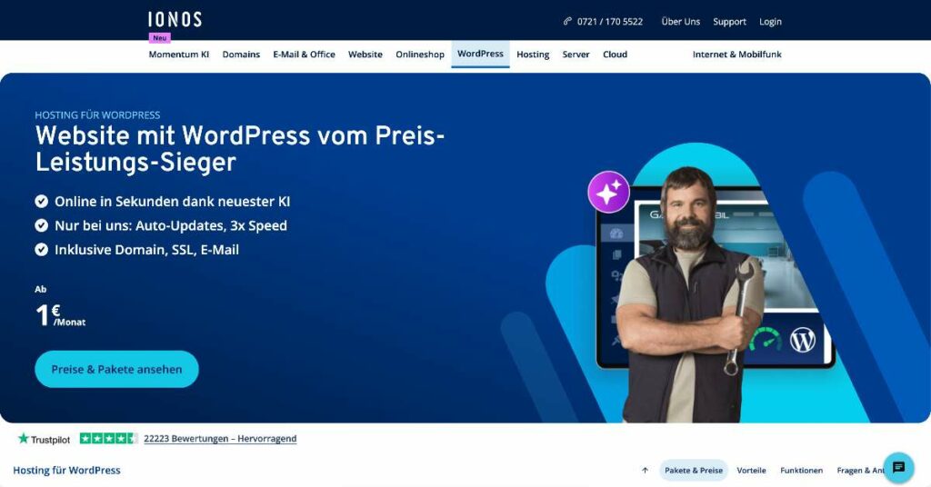 Die Oberfläche von WordPress by IONOS